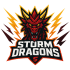 STORM DRAGONS