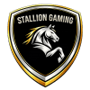 Stallion Gaming 5 Stallion Gaming