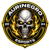 Aurinegro eSports 4 Aurinegro eSports