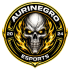 Aurinegro eSports 33 Aurinegro eSports