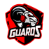 Guaros eSports