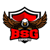 BSG eSports
