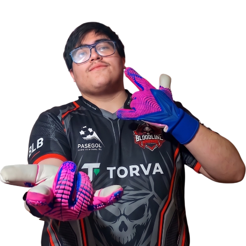 Inicio - Espacio Gamer