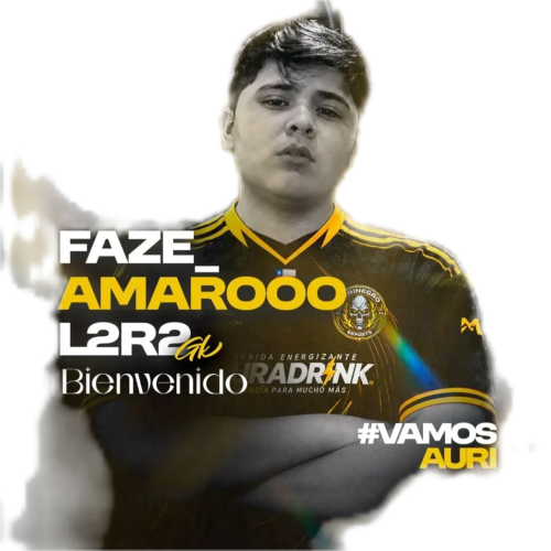 Partido - Espacio Gamer