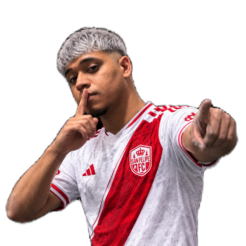 Partido - Espacio Gamer