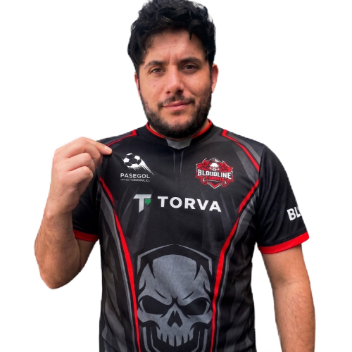 villaltapro10