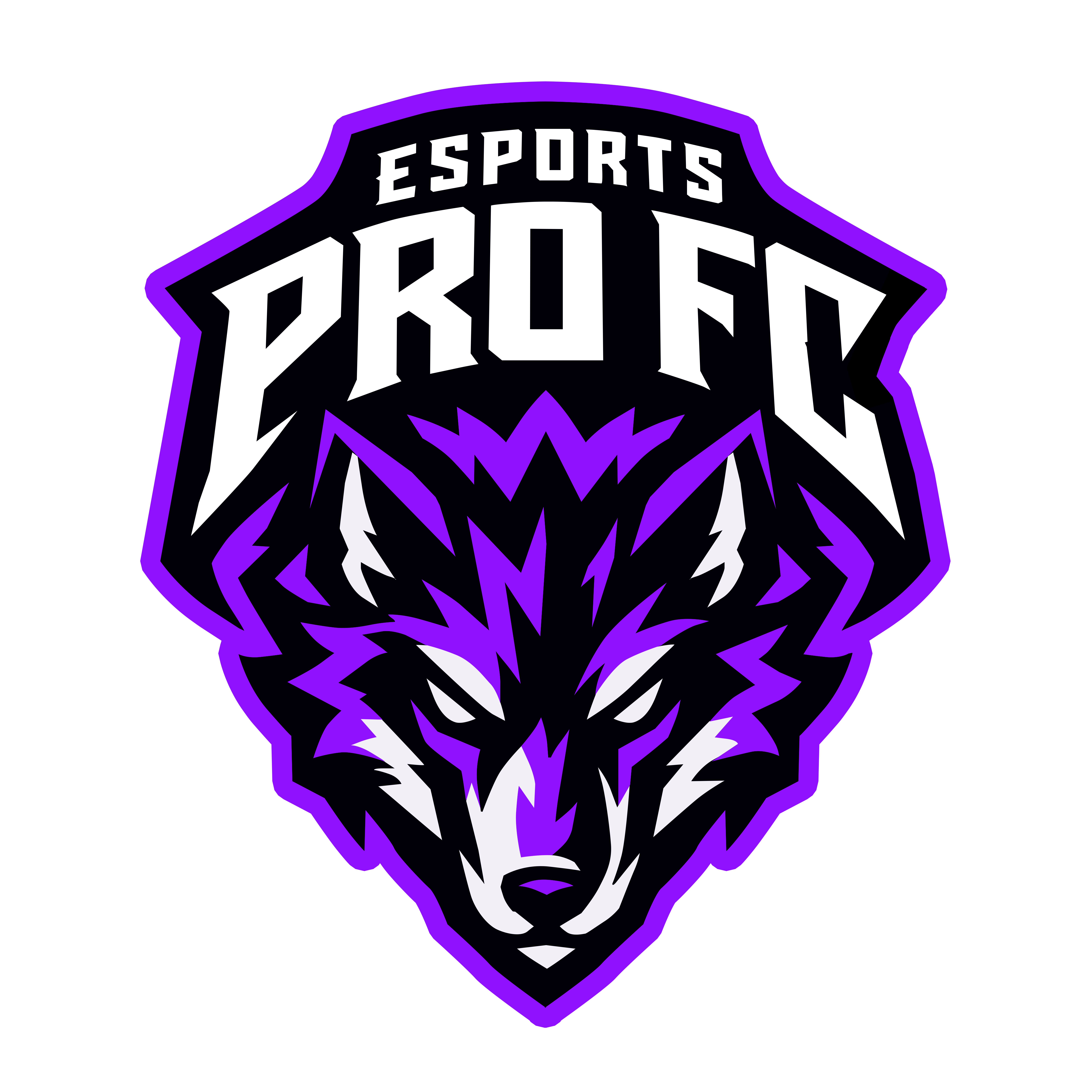 ESPORTS PRO FC